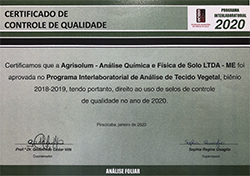 Certificado 1